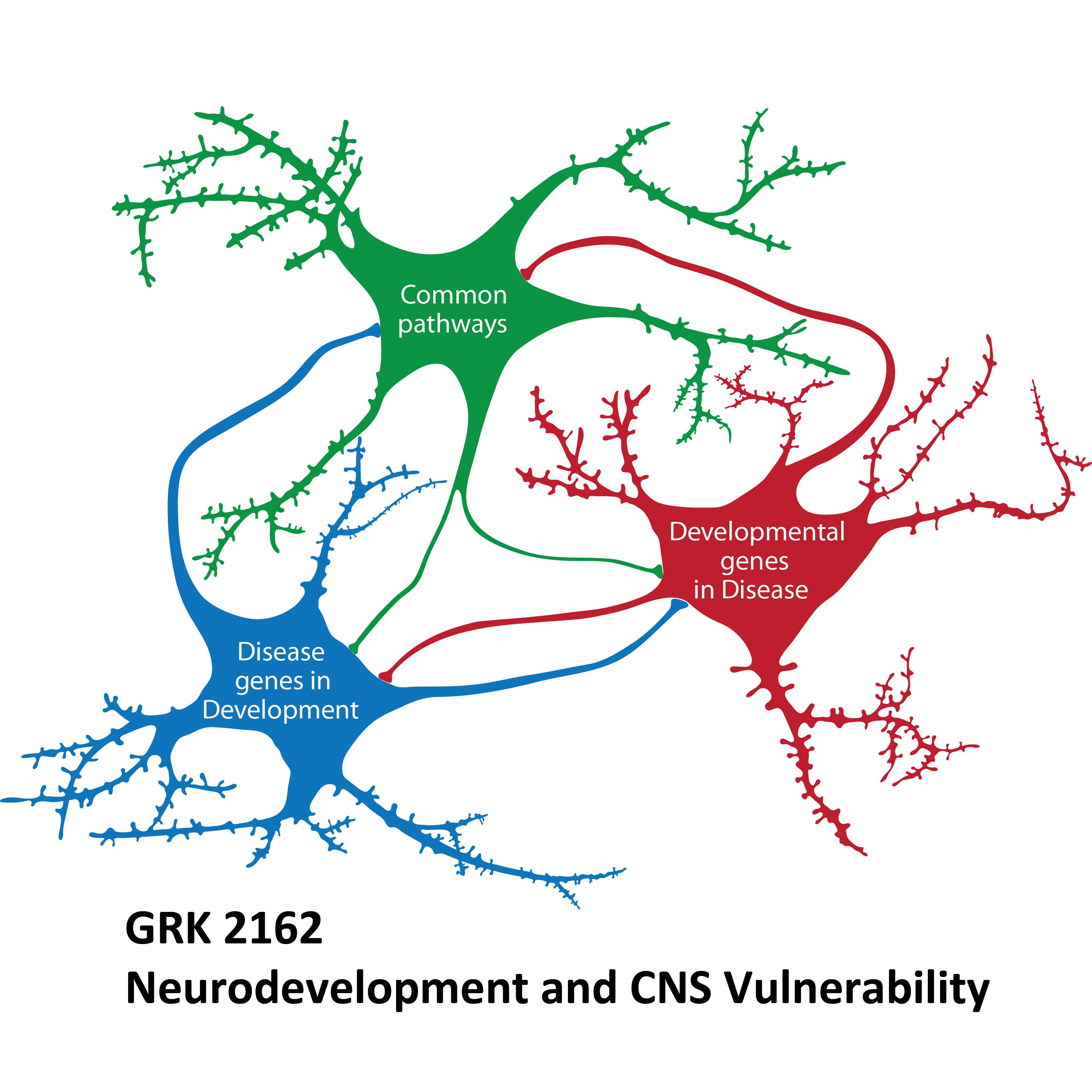 Towards entry "Our vulnerable nervous system: What affects its protective sheaths?"