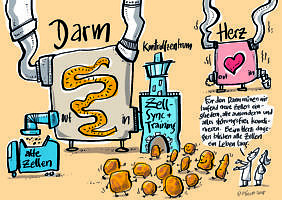 Symbolic picture for the article. The link opens the image in a large view.