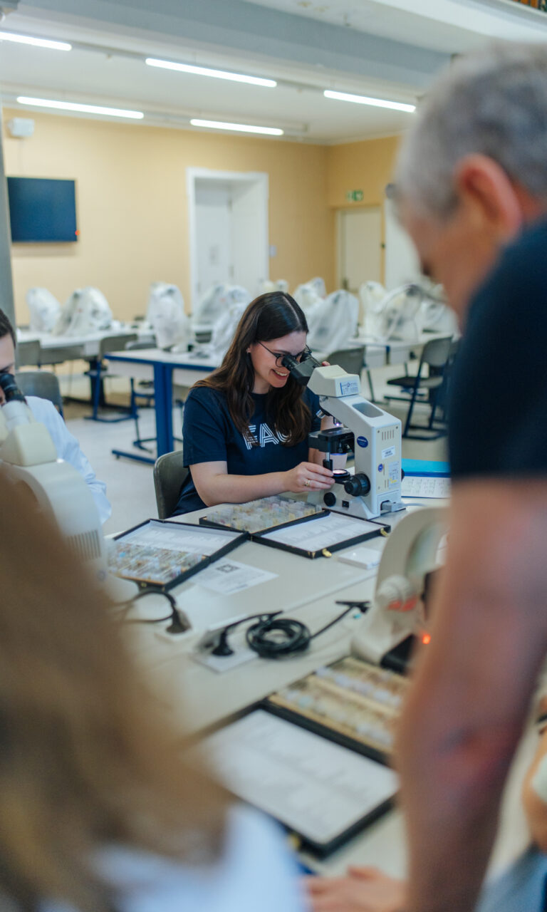 Clinical-Theoretical Institutes