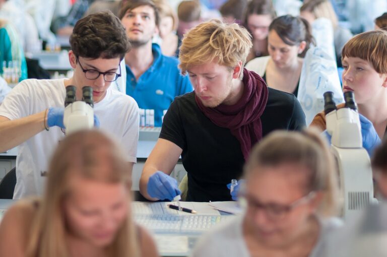 Featured image for Young researchers